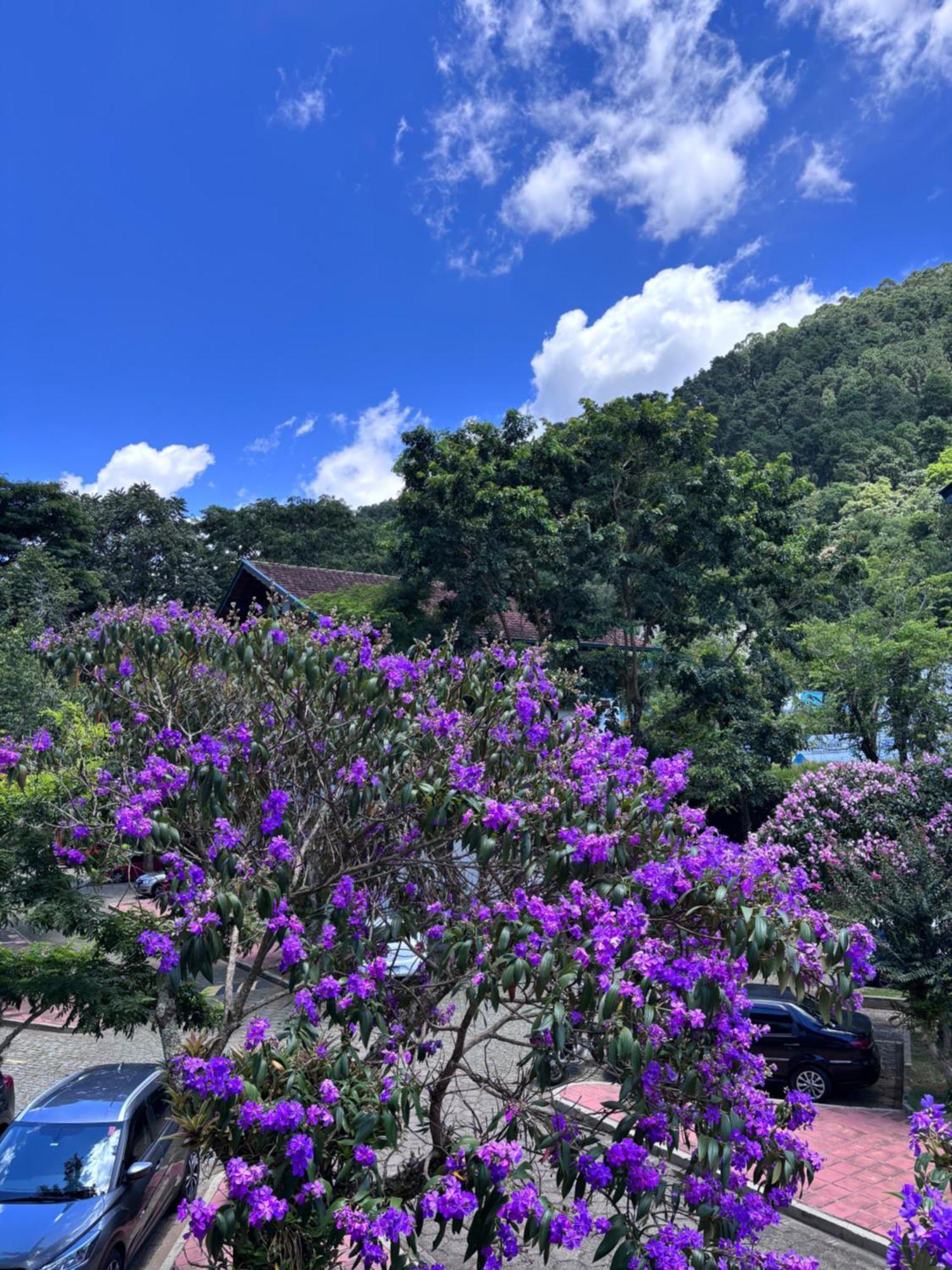 Refugio Na Serra Condominio Em Olaria, Nova Friburgo-Rj Exterior foto